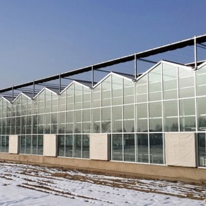 解析玻璃溫室大棚的優(yōu)點(diǎn)及用途