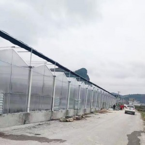 溫室大棚為什么要選用PC陽(yáng)光板做覆蓋材料?