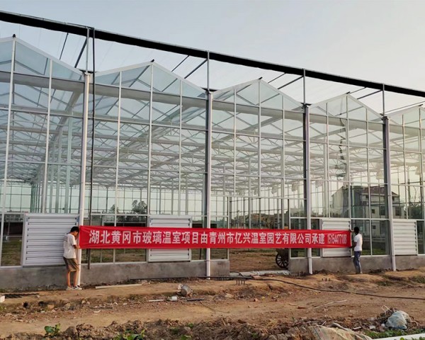 湖北黃岡市玻璃溫室項目